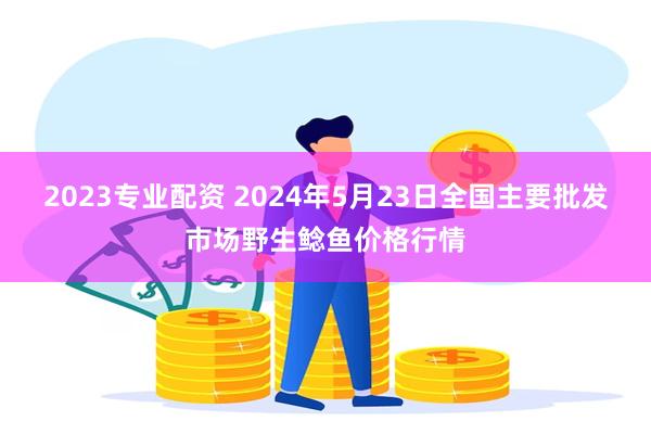 2023专业配资 2024年5月23日全国主要批发市场野生鲶鱼价格行情