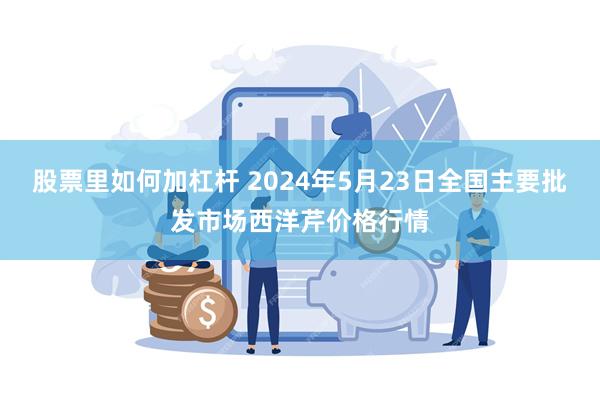 股票里如何加杠杆 2024年5月23日全国主要批发市场西洋芹价格行情