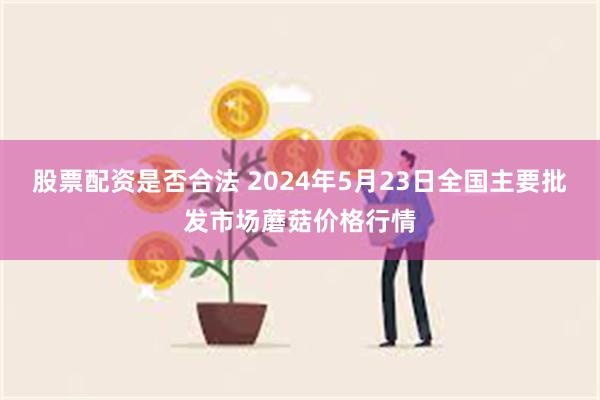 股票配资是否合法 2024年5月23日全国主要批发市场蘑菇价格行情