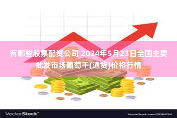 有哪些股票配资公司 2024年5月23日全国主要批发市场葡萄干(通货)价格行情