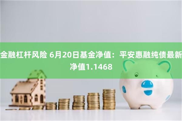 金融杠杆风险 6月20日基金净值：平安惠融纯债最新净值1.1468