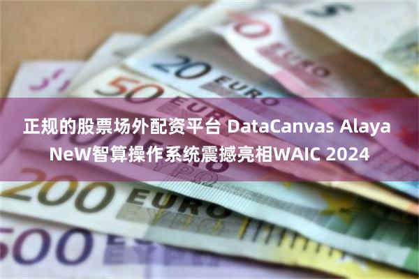 正规的股票场外配资平台 DataCanvas Alaya NeW智算操作系统震撼亮相WAIC 2024