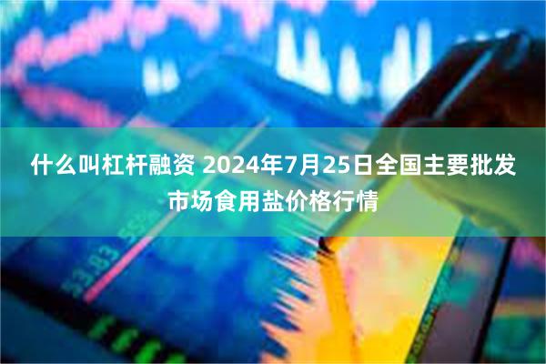 什么叫杠杆融资 2024年7月25日全国主要批发市场食用盐价格行情