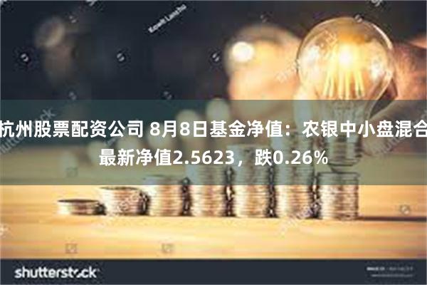 杭州股票配资公司 8月8日基金净值：农银中小盘混合最新净值2.5623，跌0.26%