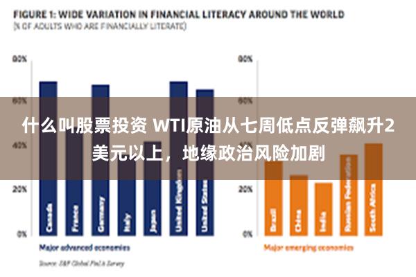 什么叫股票投资 WTI原油从七周低点反弹飙升2美元以上，地缘政治风险加剧