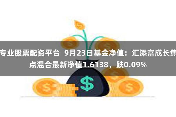 专业股票配资平台  9月23日基金净值：汇添富成长焦点混合最新净值1.6138，跌0.09%