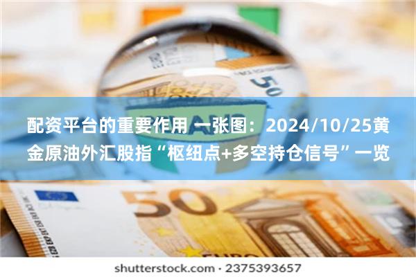 配资平台的重要作用 一张图：2024/10/25黄金原油外汇股指“枢纽点+多空持仓信号”一览