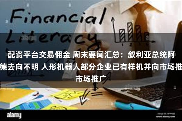 配资平台交易佣金 周末要闻汇总：叙利亚总统阿萨德去向不明 人形机器人部分企业已有样机并向市场推广