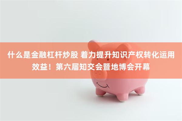 什么是金融杠杆炒股 着力提升知识产权转化运用效益！第六届知交会暨地博会开幕