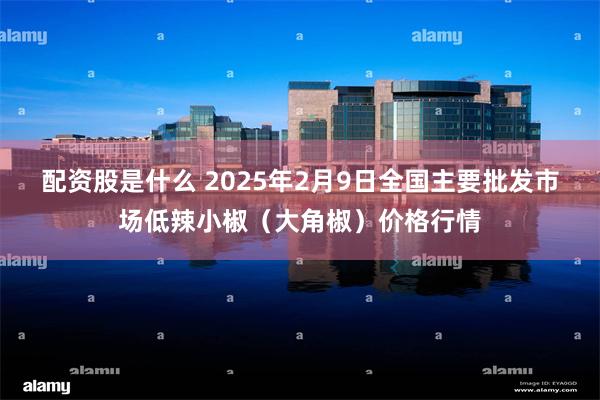 配资股是什么 2025年2月9日全国主要批发市场低辣小椒（大角椒）价格行情