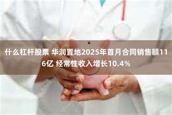 什么杠杆股票 华润置地2025年首月合同销售额116亿 经常性收入增长10.4%